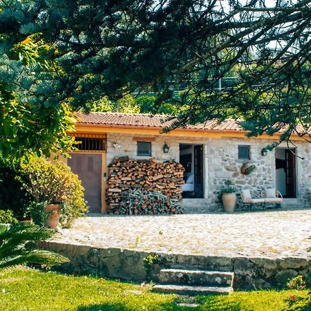 Bed and Breakfast The Quixote House Caminha Exterior foto